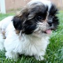 다오동물병원 이미지