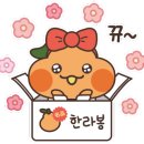제주공항약국 이미지