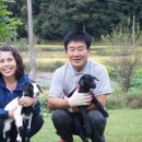 행복한흑염소농장 이미지