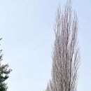 경춘선숲길공원 이미지