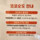 코코호도시흥플랑드르점
