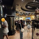 내리그집가자 이미지