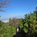 엄광산임도 | 다이어트 근황 / 팔케(FALKE) 셀룰라이트 팬티