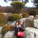 효원 이미지