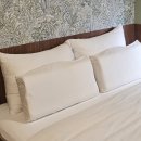 스테이 패스포트 홍콩 고성점 이미지