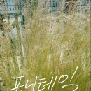 사초경로당 네이버블로그