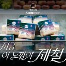 쓱싹