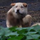 봉희농장 이미지