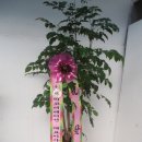 (주)지오플러스이엔지
