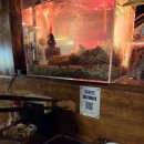 (주)한주공영 | 용리단길 오뎅바 '미또미' 솔직후기 , 퇴근길에 즐기는 안주와 잔술의 만남