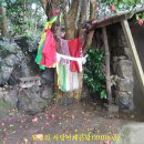 월정리에 이미지