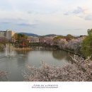 영산 연지못 이미지