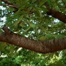 용강점 현대자동차 이미지