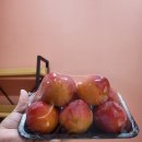 정림탑치과의원 이미지