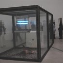 연신종로약국 | 데이미언 허스트 전시 후기, 미술관에서 마주한 삶과 죽음