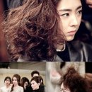 사자코리아 이미지