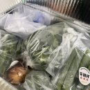 법이네 야채가게 | [뭉치네 야채가게] 신혼부부·1인가구를 위한 소량 신선 야채배송 후기