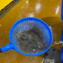 전곡항 수산물센터 2층 이미지