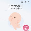 겸선합기도근력센터 | 임신32주차(헬스,배통증,발진,색소침착,태동,세탁기청소,밤부베베손수건구매)증상기록