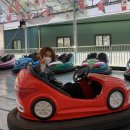 증평수족관 이미지