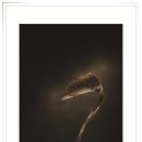 코모도호텔 포항 송도 이미지