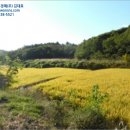 황방이보건진료소 네이버블로그