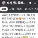 수카센타 이미지