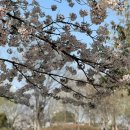 버스정류장(쌍암공원) 이미지