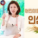 인삼 맛있게 먹는 법! 인삼 쉐이크 만들기(인삼 고르는 법) 조회수 5만회 4년 전 이미지