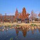 장자호수생태공원 이미지