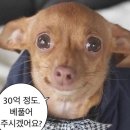 클로리스아뜰리에 | 단편집