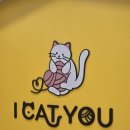 You(유) | 양주 아이와 가볼만한곳! 30마리 개냥이와 교감하는 아이캣유(I CAT YOU) 솔직후기, 실내나들이 추천