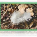 오렌지마취통증의학과의원 이미지