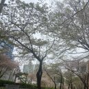 큰우물길 이미지