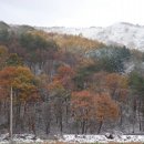 무주황실펜션 이미지