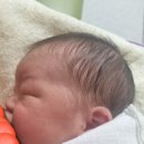 휴메디병원 | 세종 프라우메디산부인과 / 경산모 / 제왕절개 출산...산부인과 특실 3일차 / 초유직수 / 초유유축/ 후기