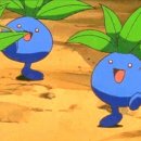 안경산책 이미지