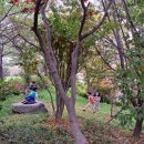 나무와아이들유치원 이미지