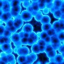 리더스<b>코스메틱</b>,파미셀...세원셀론텍,<b>조아</b>제약,큐로컴)