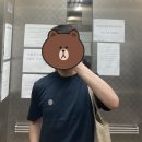NG001 | 아이템, Ami(아미), 메종 키츠네, A.P.C.(아페쎄), 스톤 아일랜드, 캘빈 클라인(C.K.) 티셔츠 실착 후기