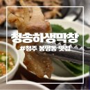 275-1-000002 | [청주 봉명동 맛집] 청송하생막창 B코스(꽃살, 막창) 내돈내산 후기