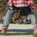 코션앤타이어 이미지