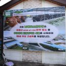 여기남해 이미지