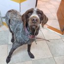 사평1길 이미지