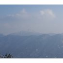 동산초등길 이미지