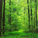 대학공원1 이미지