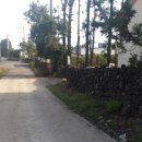 서귀중앙골프연습장 이미지