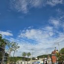 메이트무역(주) | 더 많이 사랑하는 사람이 지는거야