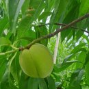 기북농장 이미지