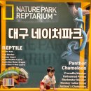 대구 아기랑 가볼만한곳 네이처파크 동물원 후기
